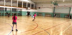 IMG_8235_Copy.jpg