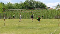 IMG_8372_Copy.jpg