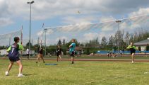 IMG_8391_Copy.jpg