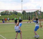 IMG_8445_Copy.jpg